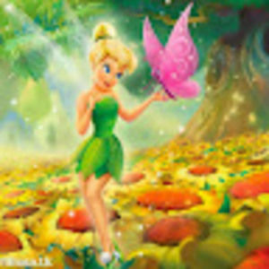 Meet your Posher, Donna